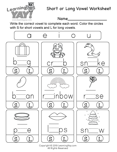 Short or Long Vowel Worksheet