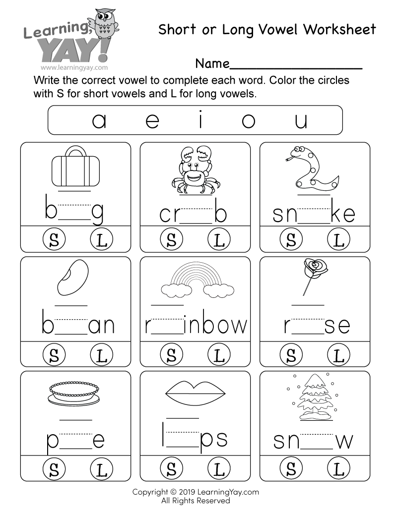 Short or Long Vowel Worksheet